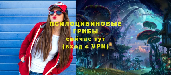 MDMA Краснослободск