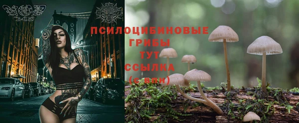 MDMA Краснослободск