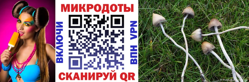 Псилоцибиновые грибы ЛСД  Купить где  Сосновый Бор 